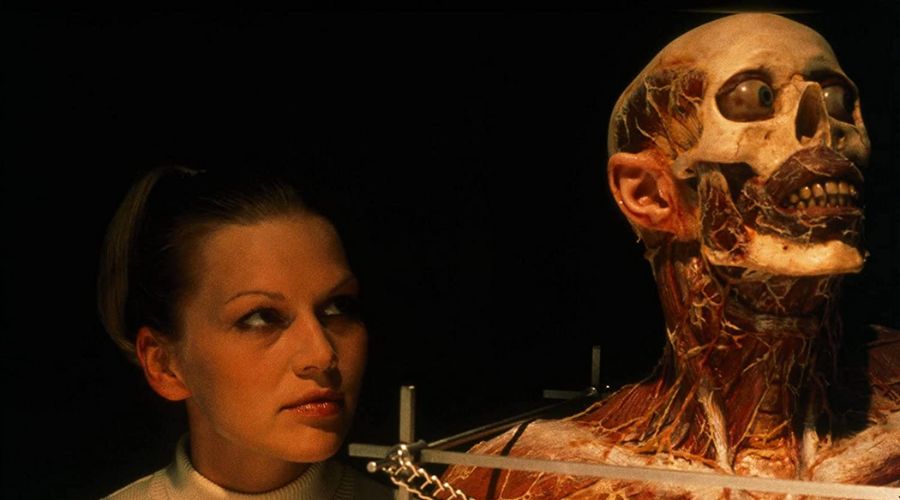 Anatomie Anatomie